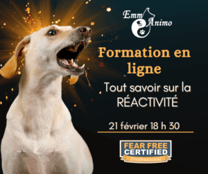 langage et psychologie canine 3